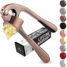 Kitchen Premium Garlic Press Set - Rust Proof Professional Garlic Mincer Tool - Easy-Squeeze, Easy-Clean with Soft (Material: Stainless Steel)